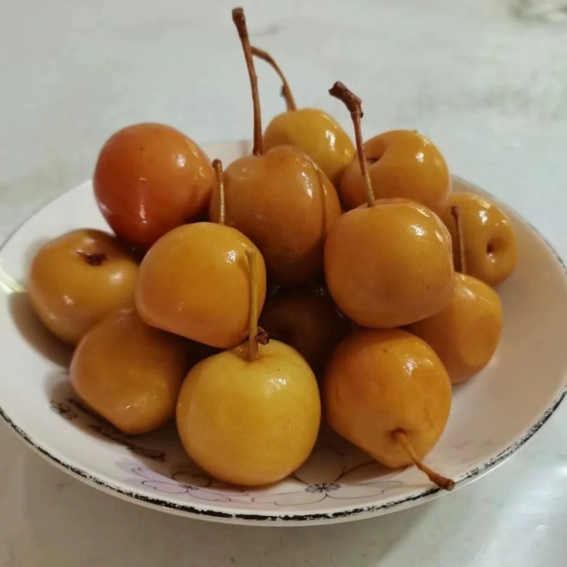 潮汕鸟梨（甜泡梨）