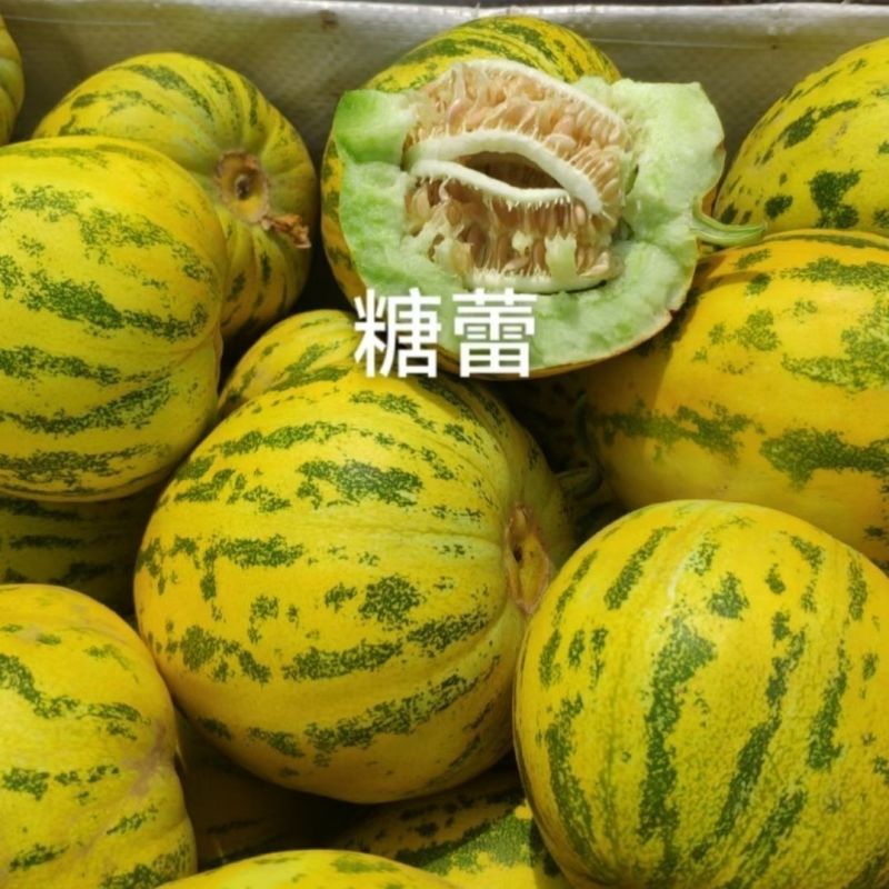 糖蕾生金中大果型八里香杂交甜瓜种子果皮亮红黄果肉硬绿肉