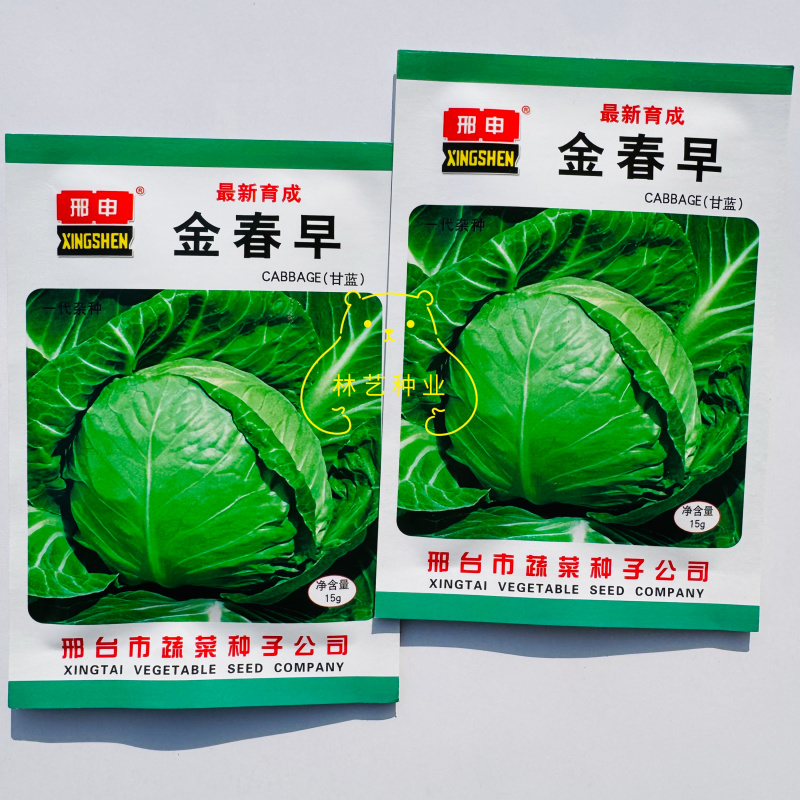 金春早甘蓝种子抗病耐寒甘蓝种子耐裂球晚抽苔耐低温耐储运