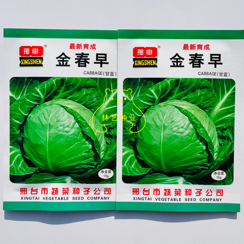 金春早甘蓝种子抗病耐寒甘蓝种子耐裂球晚抽苔耐低温耐储运