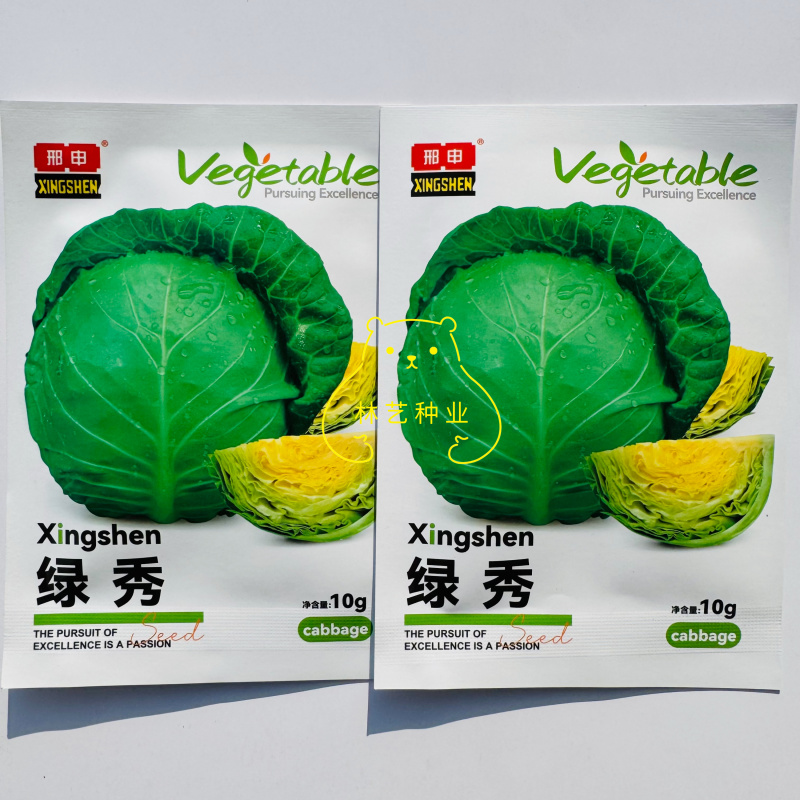 绿秀一代杂交甘蓝种子绿皮黄芯早熟高产球正圆形光泽度高