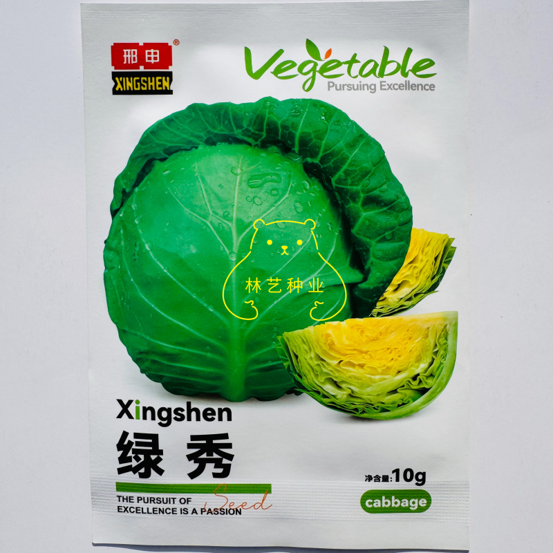 绿秀一代杂交甘蓝种子绿皮黄芯早熟高产球正圆形光泽度高