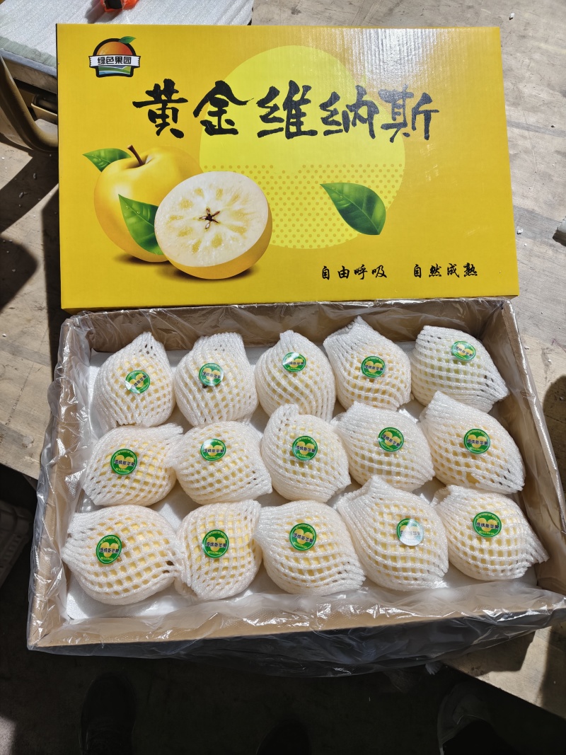 正宗山东维纳斯黄金苹果浓香纯甜冰糖心新鲜水果烟台苹果礼盒