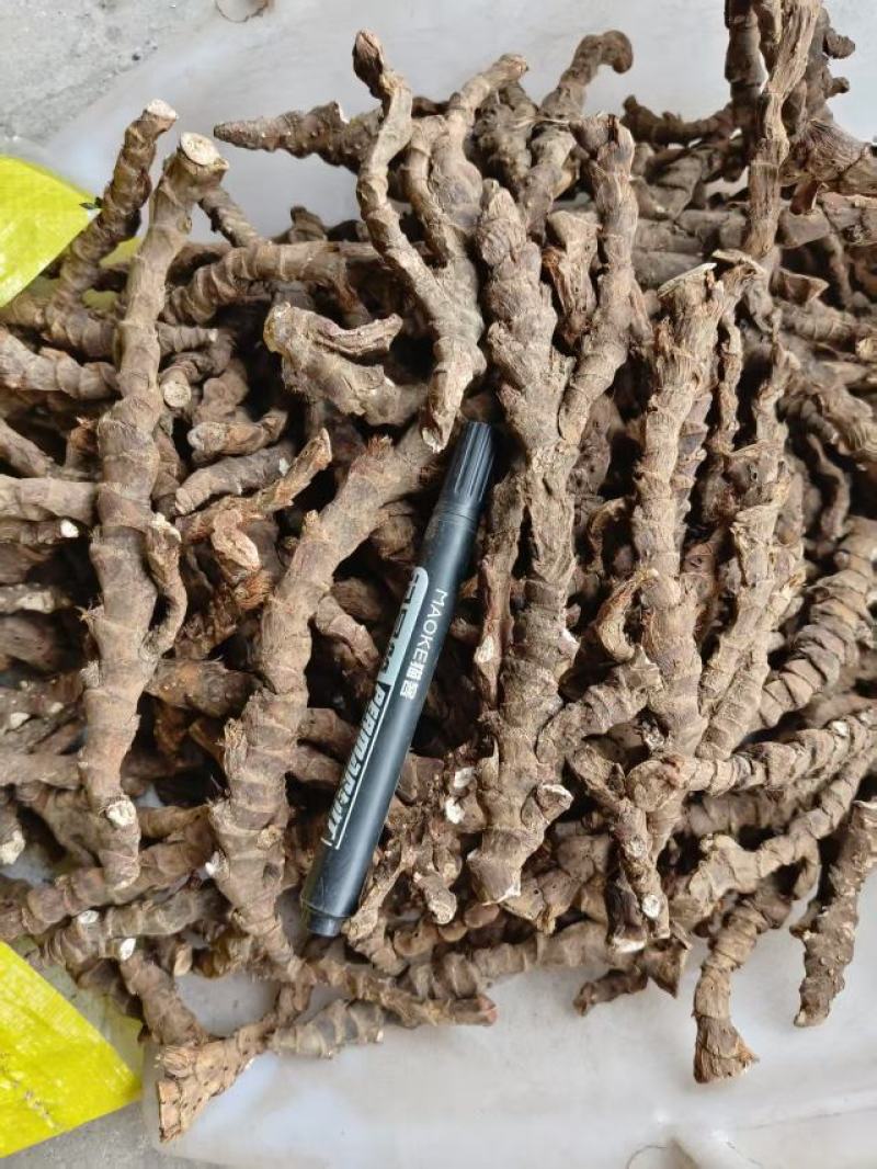 优质石菖蒲干货、基地直采、根大条肉多、欢迎定购