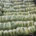 河南大白菜产地直发，品质保证，支持全国发货
