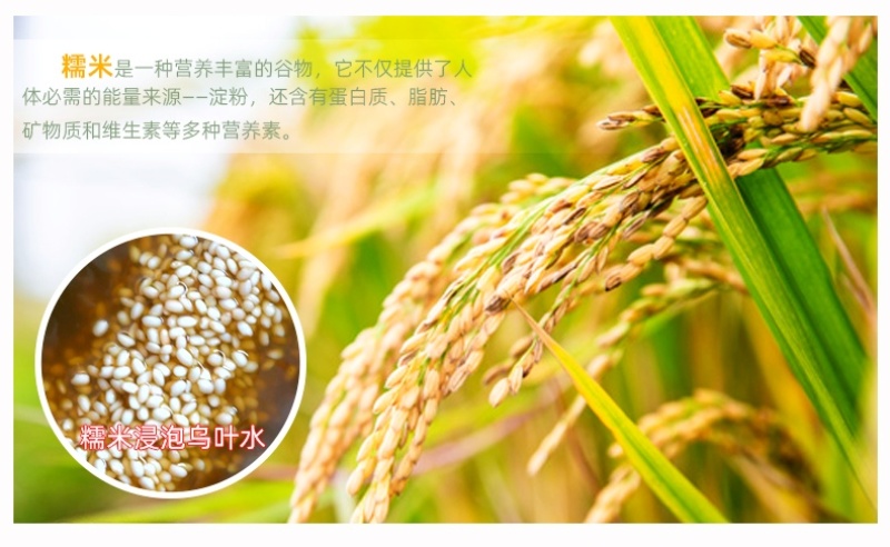 福鼎芋泥乌米饭畲族人特产