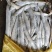 罐头带鱼4/5/6现货几个柜