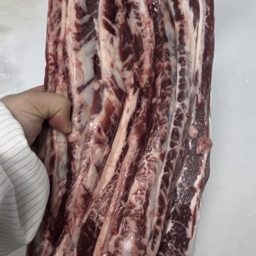 烤肉，烧鸟烧烤专用的谷饲150天的牛肋条