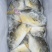 金鲳鱼，精包装，肉厚，无乱刺。
