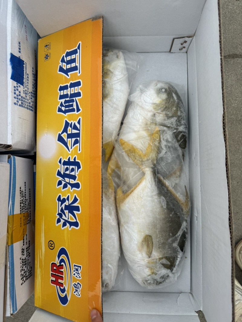 金鲳鱼，精包装，肉厚，无乱刺。