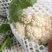 精品松花菜菜花花菜花面干净白面青梗平脚无根