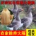 农家散养大鹅散养大鹅仔鹅鹅肉现杀土鹅新鲜白鹅现杀