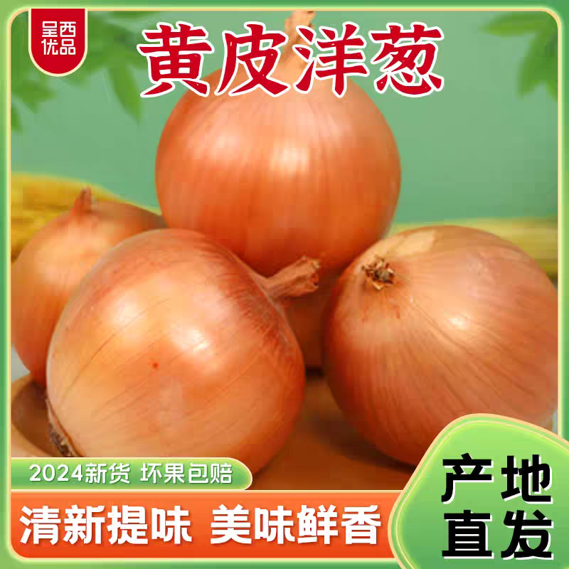甘肃景泰，黄皮洋葱，5到8公分，8以上，全国待发