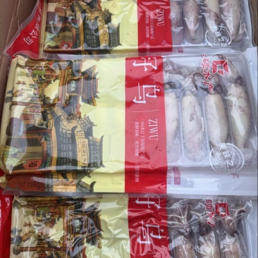 全籽籽乌，满籽，海兔子，笔管鱼，精包装
