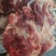 牛后腿肉