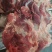 牛后腿肉