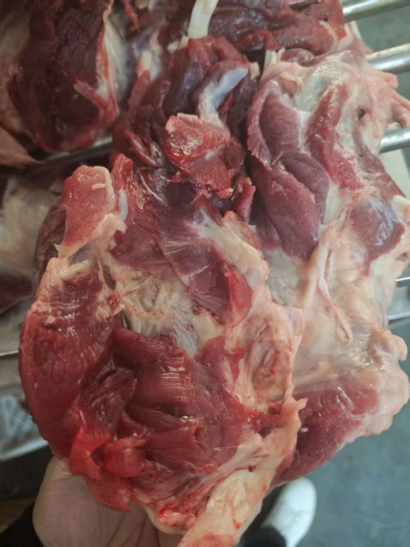 牛后腿肉