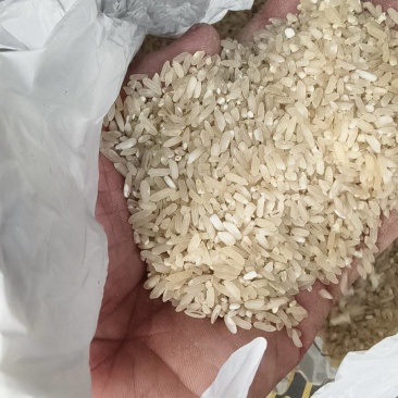 老粮酒米用途广要的联系
