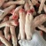 白羊蹄