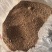 熟豆饼