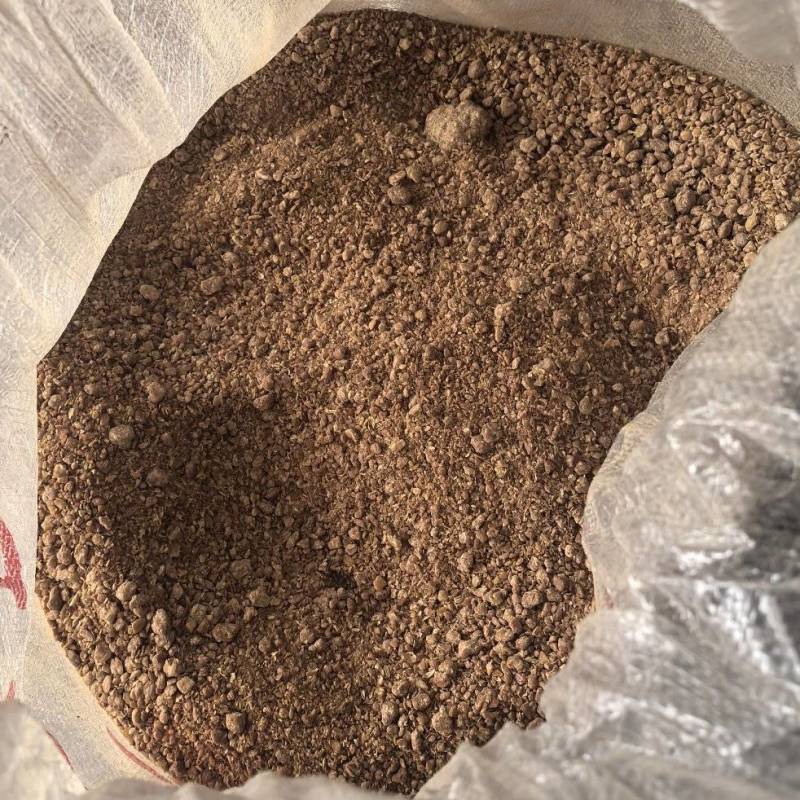 熟豆饼