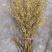 供应木姜孑，山胡椒枝条花朵量大从优欢迎来电咨询