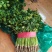 香菜聊城中叶香菜铁杆青香菜产地直发一手货源