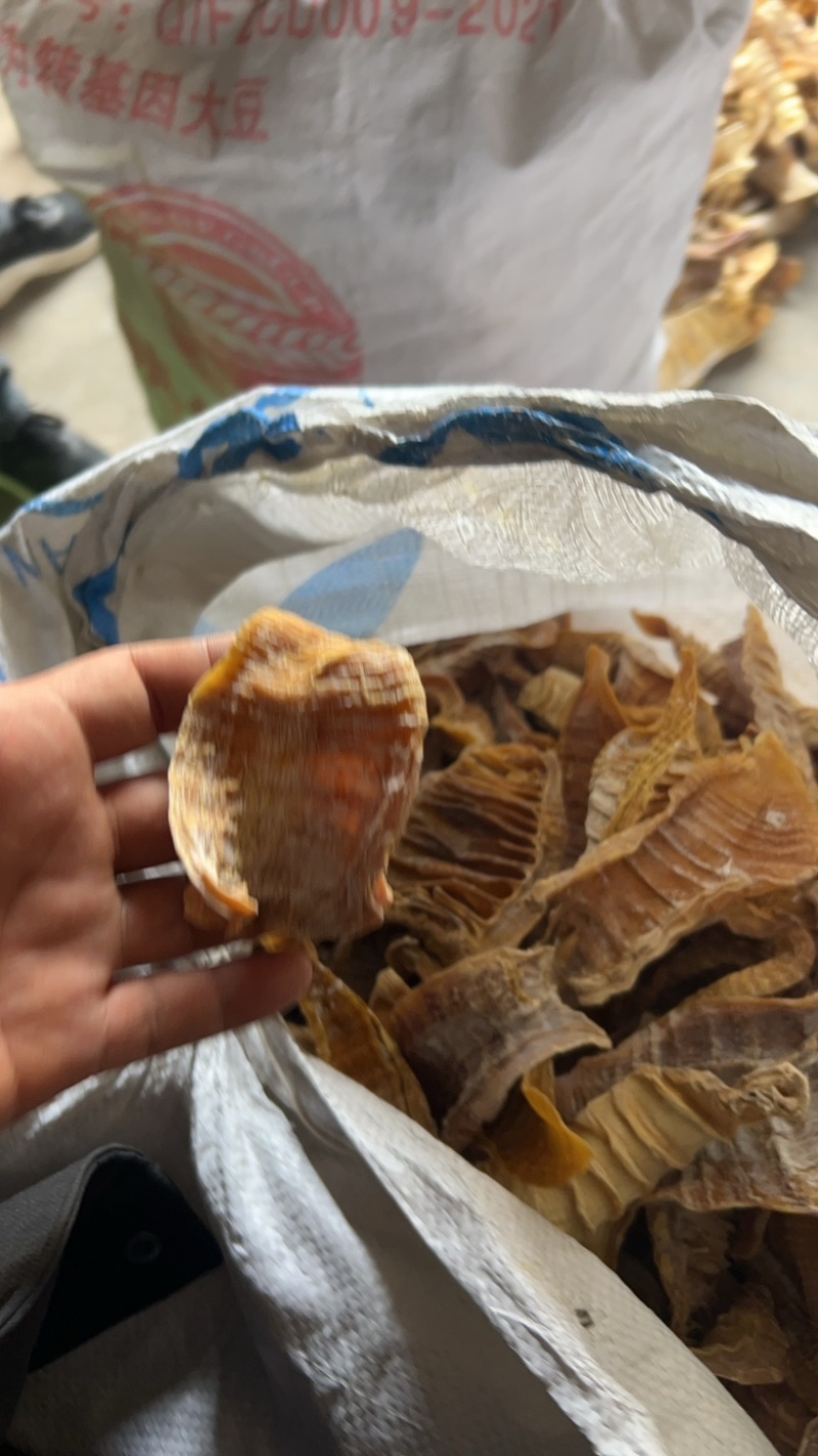 优质玉兰片，便宜出售