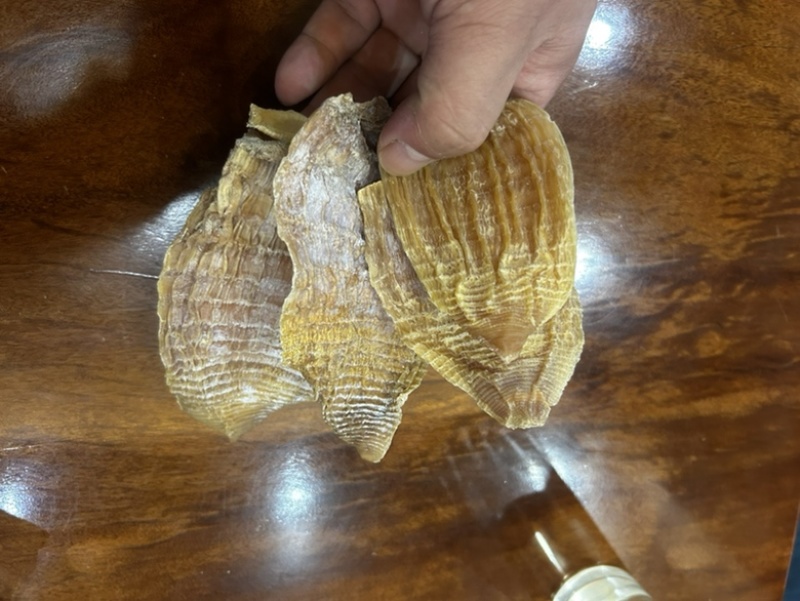 优质玉兰片，便宜出售