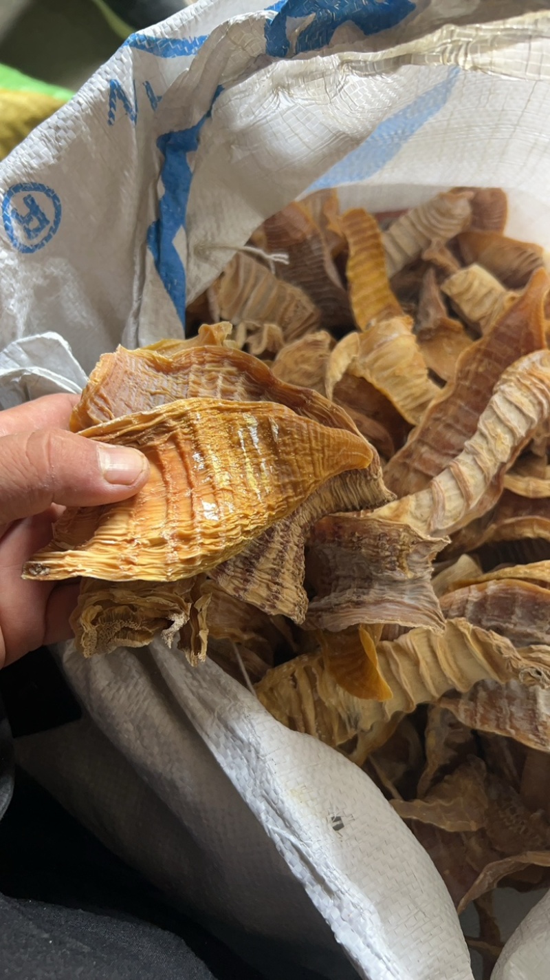 优质玉兰片，便宜出售