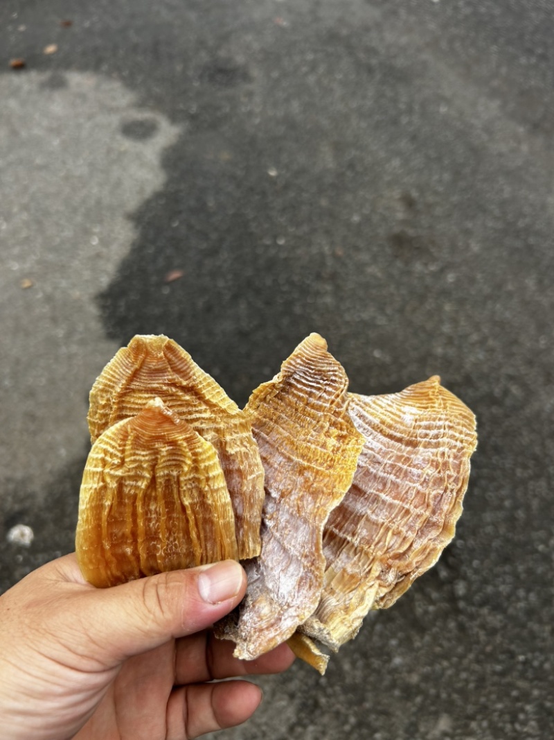 优质玉兰片，便宜出售