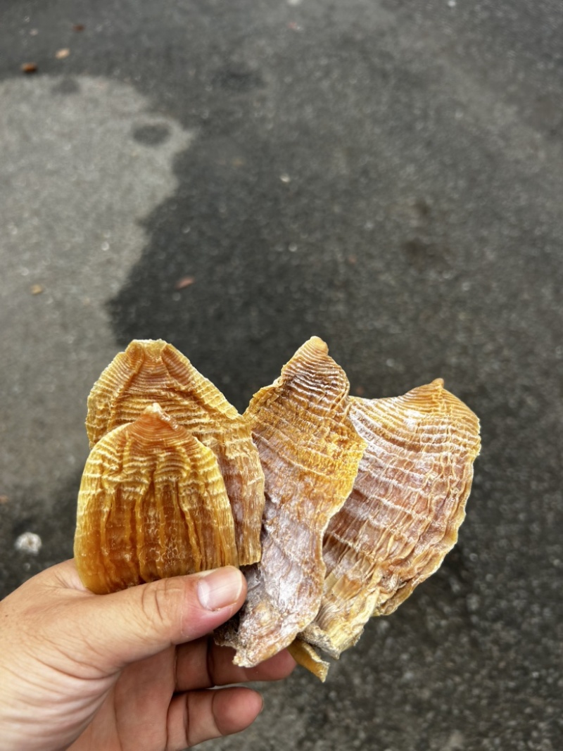 优质玉兰片，便宜出售
