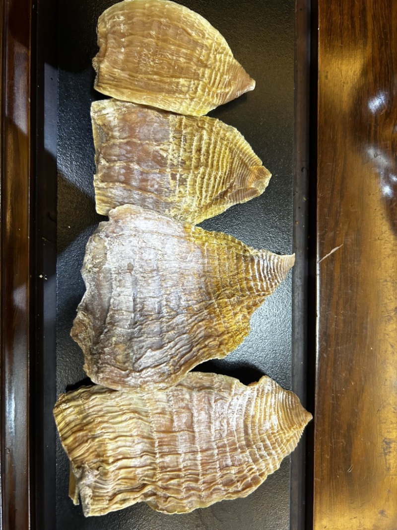 优质玉兰片，便宜出售