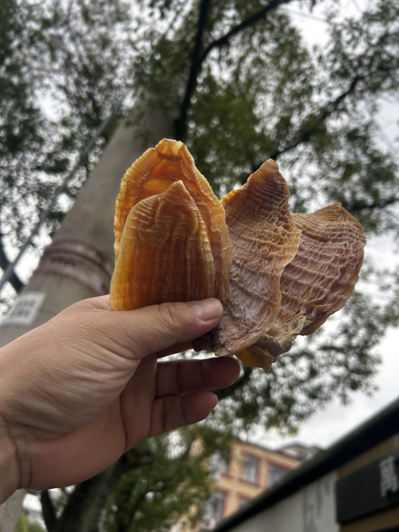 优质玉兰片，便宜出售