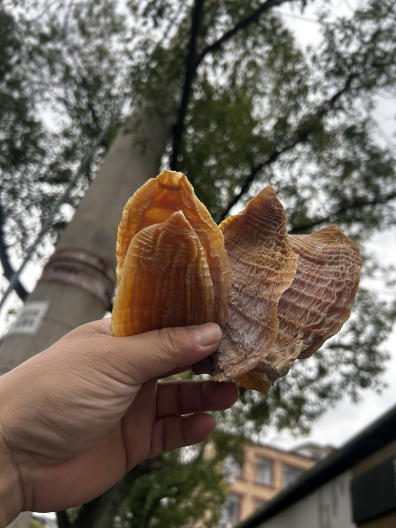 优质玉兰片，便宜出售