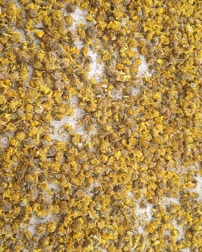 纯纯野生特级菊花。。