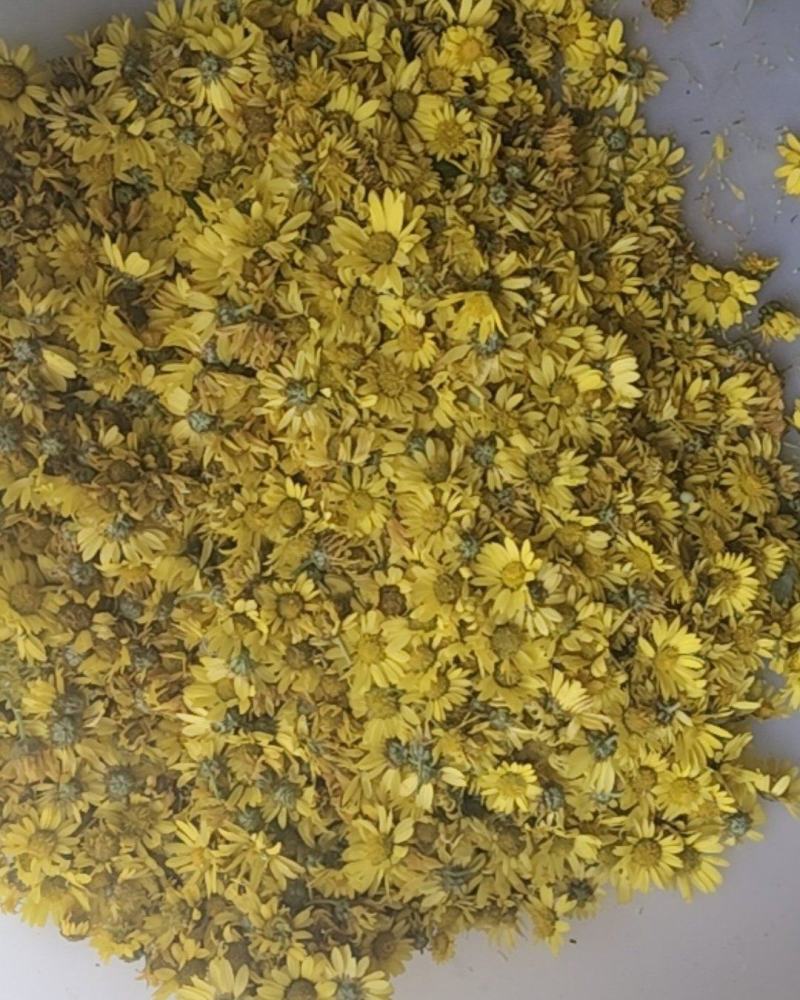 纯纯野生特级菊花。。