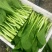 精品小白菜，菜心瓢儿白。量大从优