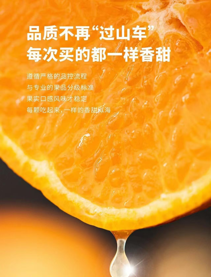 广西武鸣沃柑大量供应中对接市场档口商超一条龙服务欢迎来电