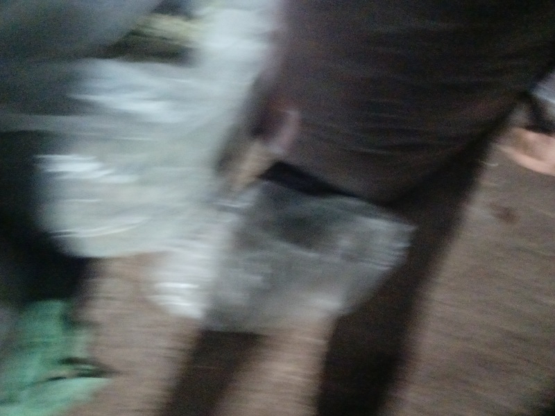 野生树花