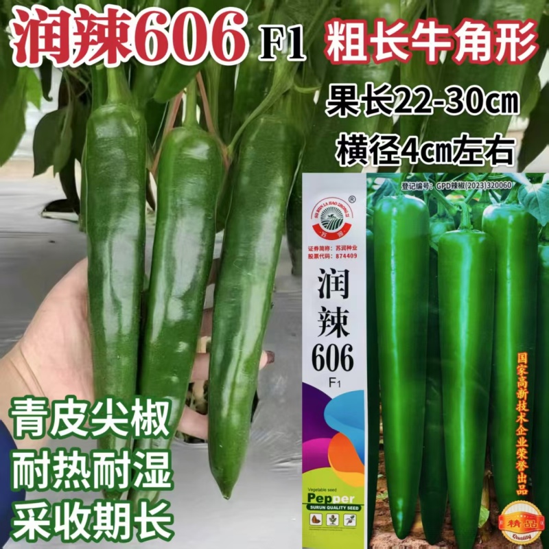 润辣606辣椒种子粗长牛角椒种子青皮尖椒种子耐热耐湿
