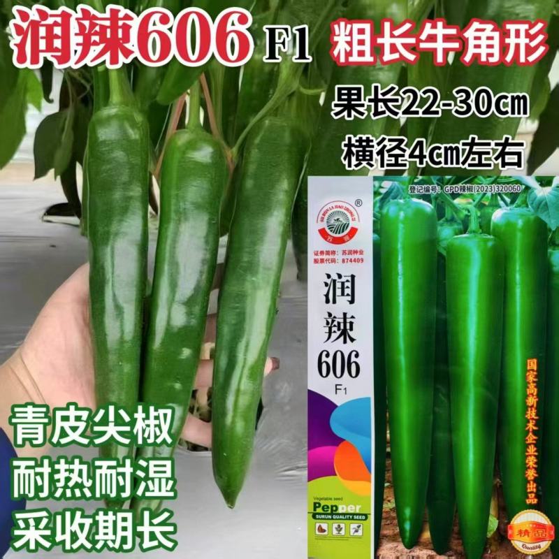 润辣606辣椒种子粗长牛角椒种子青皮尖椒种子