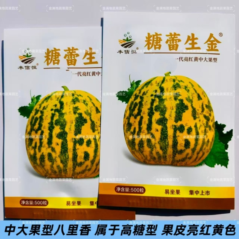 糖蕾生金中大果型八里香杂交甜瓜种子果皮亮红黄果肉硬绿肉糖