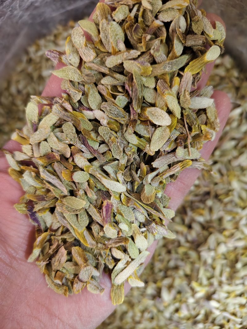 铁皮石斛各种规格铁皮石斛条枫斗石斛石斛条切片批发