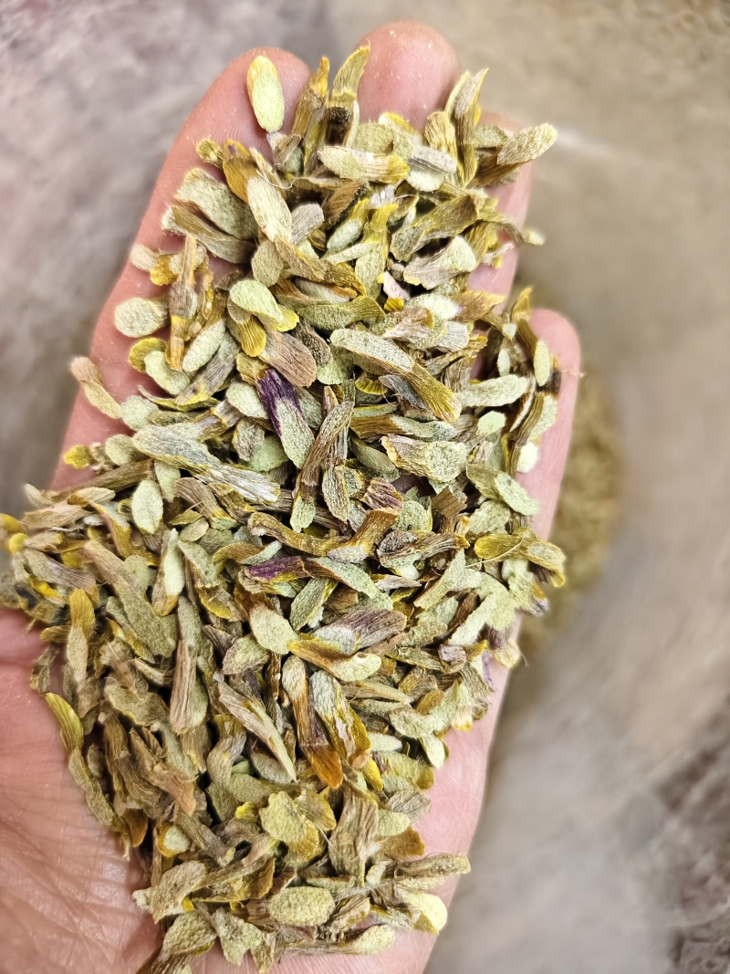 铁皮石斛各种规格铁皮石斛条枫斗石斛石斛条切片批发