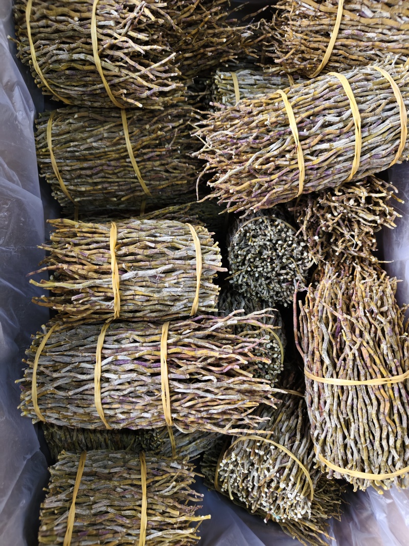铁皮石斛各种规格铁皮石斛条枫斗石斛石斛条切片批发