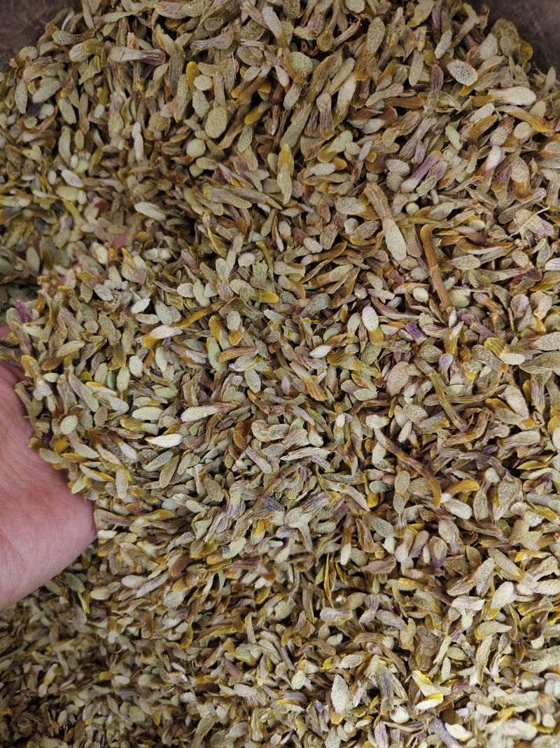 铁皮石斛各种规格铁皮石斛条枫斗石斛石斛条切片批发