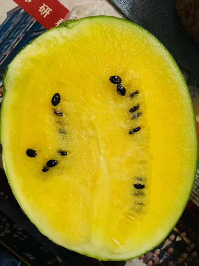 华之秀冰糖花皮黄瓤西瓜种子椭圆形中小果皮薄韧不易空心货架