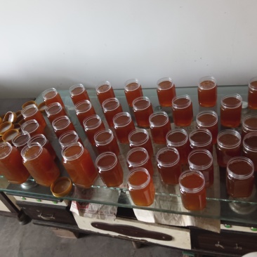 黄陵县中蜂百花蜂蜜一年取一次