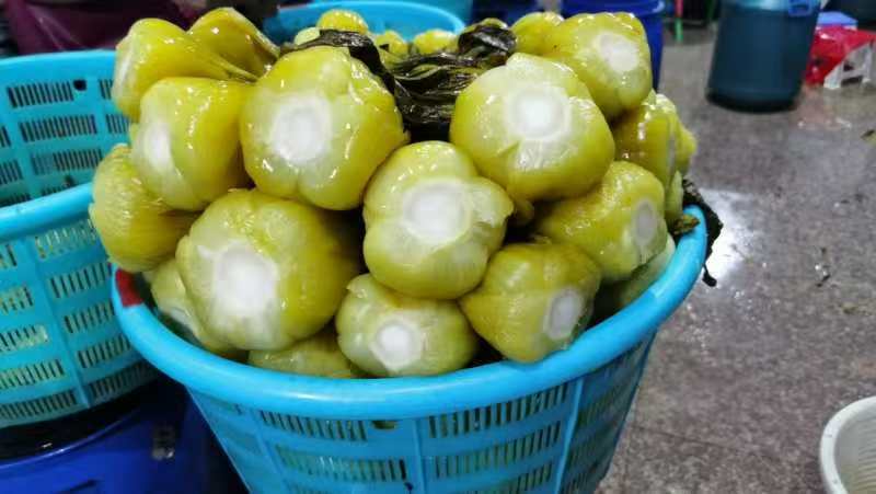 江苏南通蔬菜基地直发，移栽大颗上海青，香菇菜